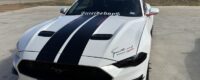 Mustang Large