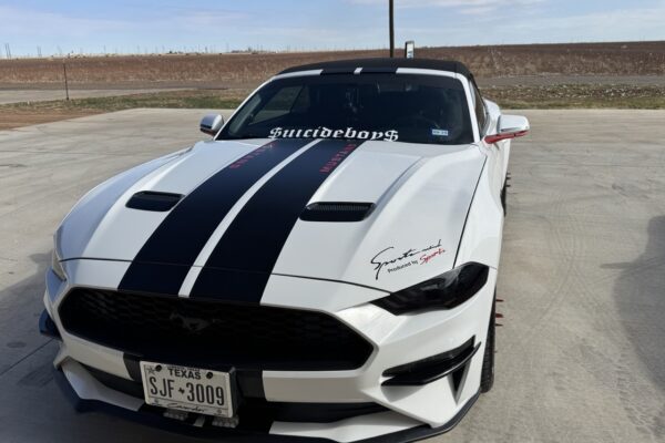 Mustang Large